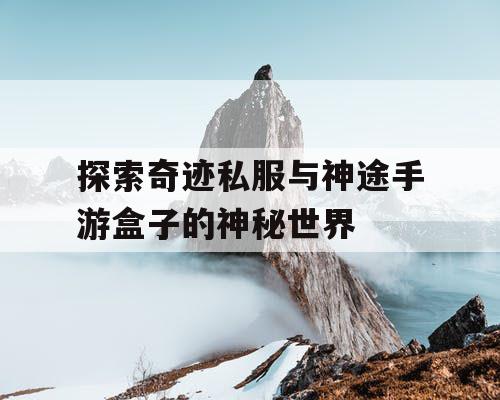 探索奇迹私服与神途手游盒子的神秘世界