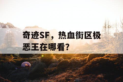奇迹SF，热血街区极恶王在哪看？
