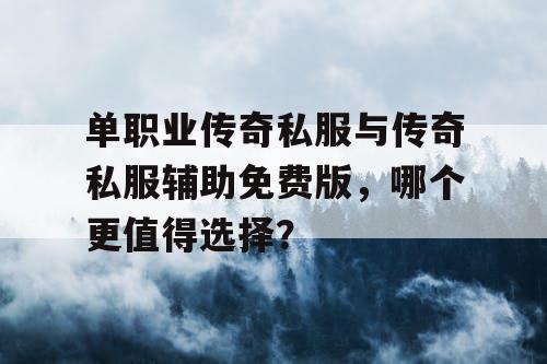 单职业传奇私服与传奇私服辅助免费版，哪个更值得选择？