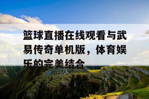 篮球直播在线观看与武易传奇单机版，体育娱乐的完美结合